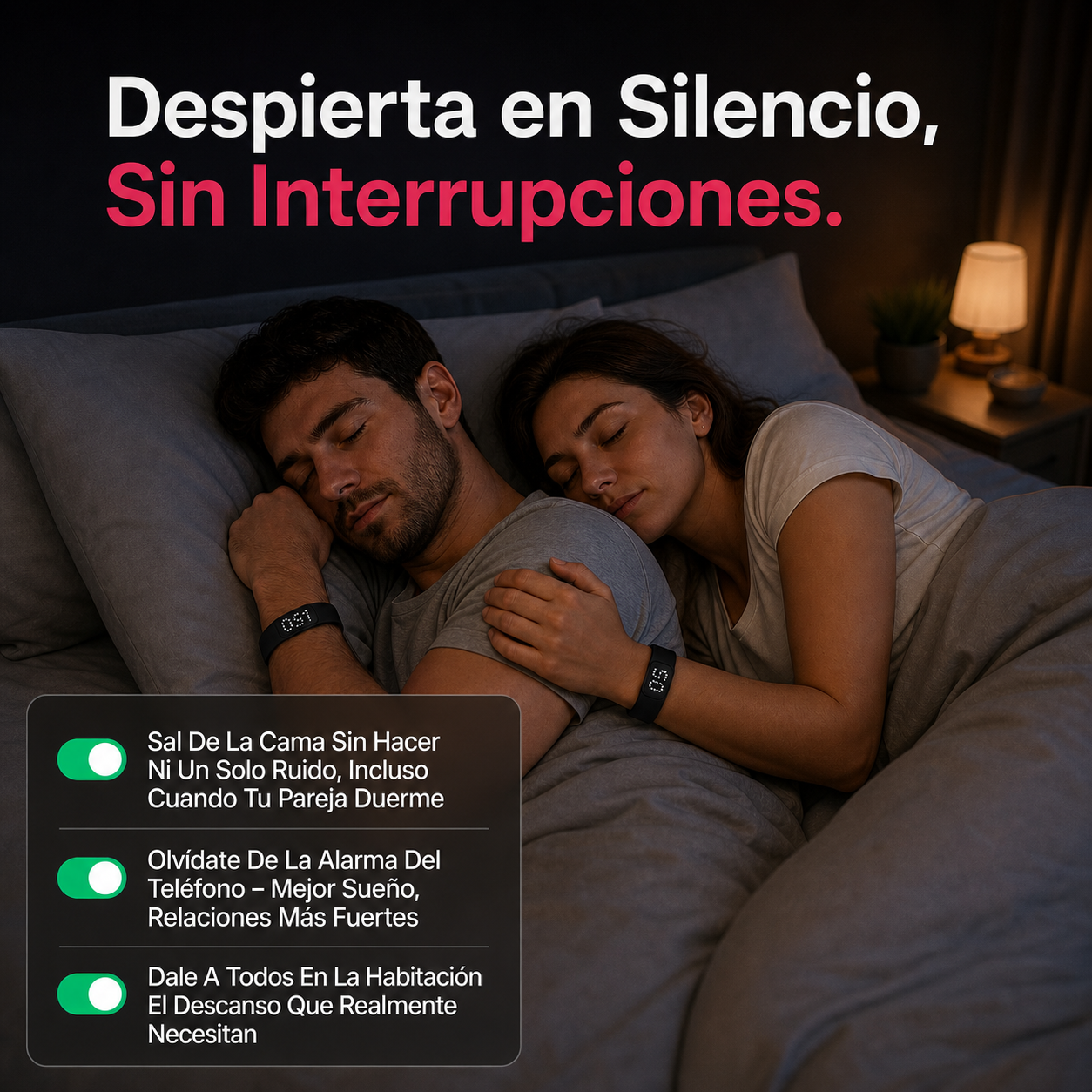 Alarma Silenciosa Imnera