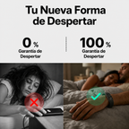 Alarma Silenciosa Imnera